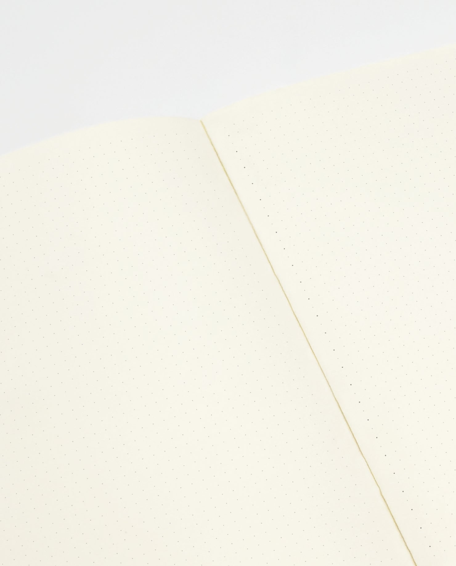 Noktalı Defter - Gri