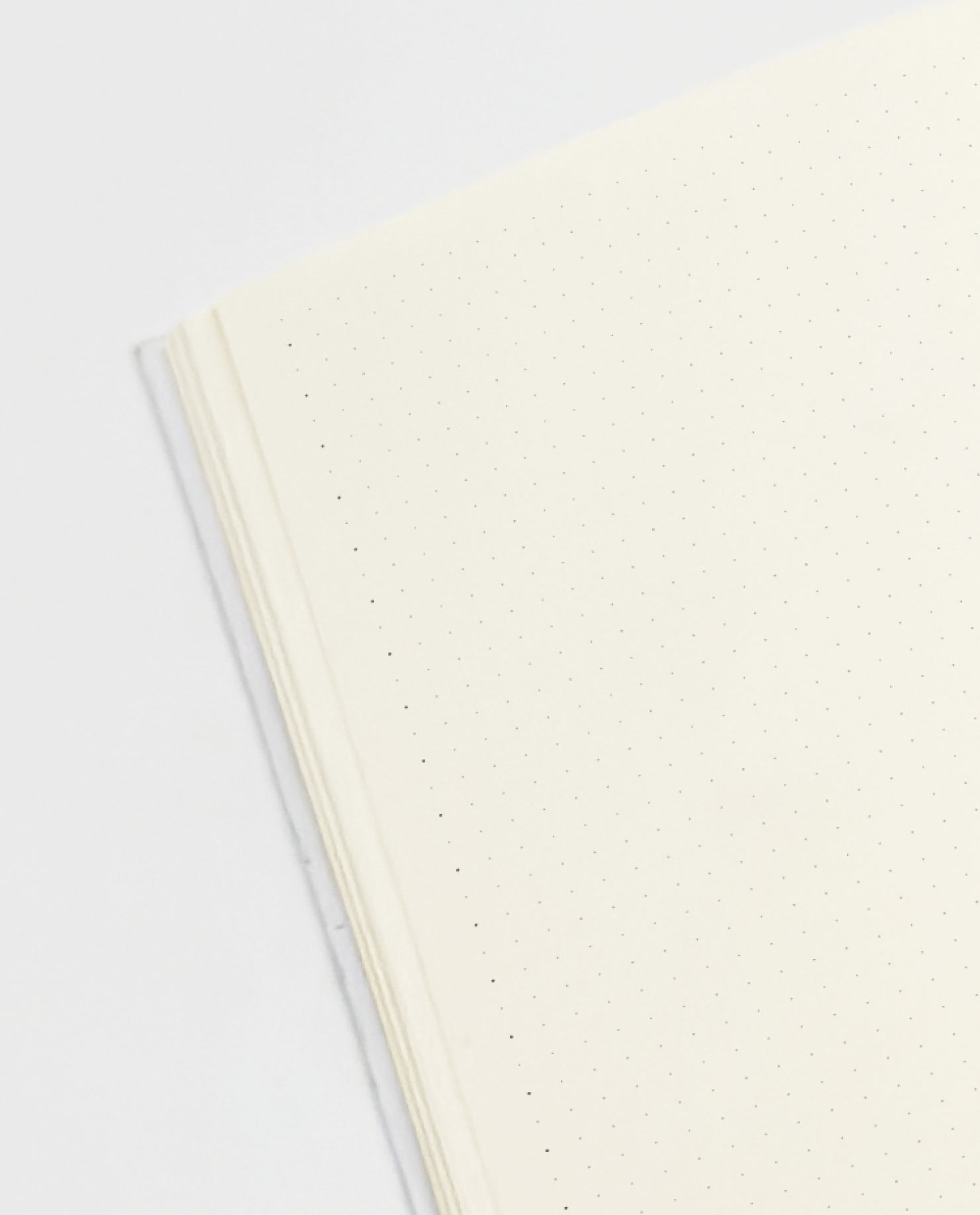 Noktalı Defter - Gri